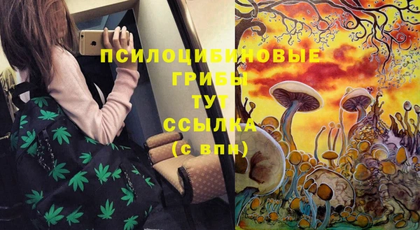 PSILOCYBIN Абдулино